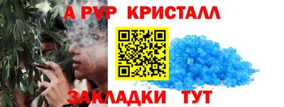 кокс Гатчина