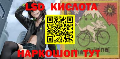 кокс Гатчина