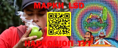 кокс Гатчина