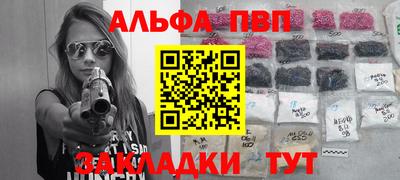 кокс Гатчина