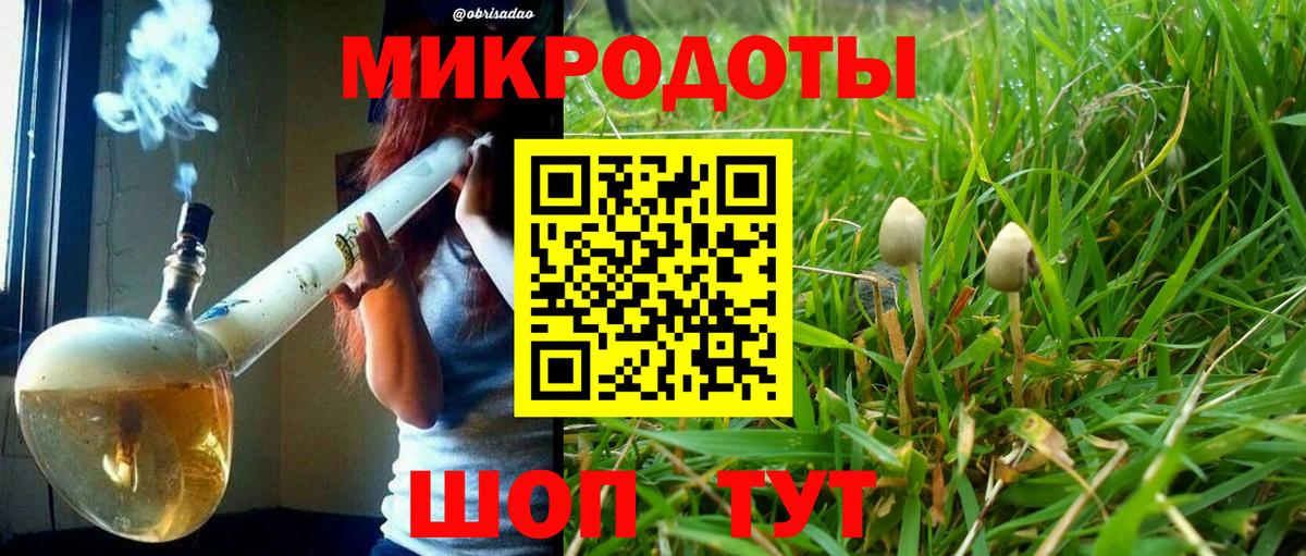 Псилоцибиновые грибы GOLDEN TEACHER Нижнеудинск